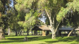 Roeding Park, Fresno, CA