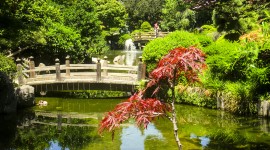 San Mateo Tea Garden, San Mateo, CA