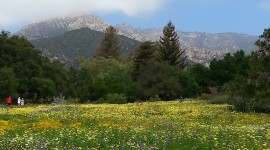 Santa Barbara Botanic Garden, Santa Barbara, CA