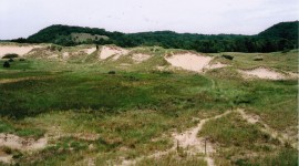 Saugatuck Dunes, Holland, MI