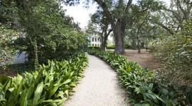 Shadows-on-the-Teche, New Iberia, LA