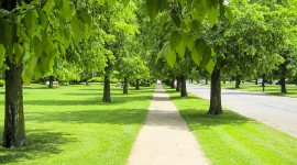 Soldiers Circle, Buffalo, NY