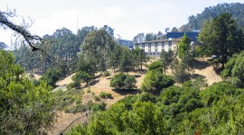 Strawberry Canyon, Oaklnd, CA