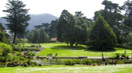 Strybing Arboretum, San Francisco, CA