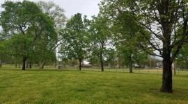 Hadley Park