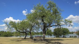 Woodlawn Lake Park, San Antonio, TX