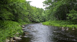 Tanglewood - ME, Lincolnville, ME