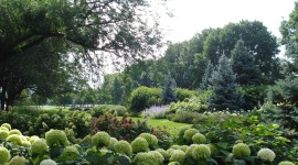The Midway Plaisance, Chicago, IL