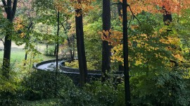 Tregaron, Washington, DC