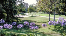 University Park, Irvine, CA