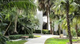 University of Miami, Coral Gables, FL