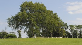 Barton Heights Cemeteries, Richmond, VA