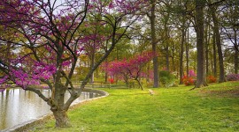 Joseph Bryan Park, Richmond, VA