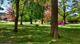 Volunteer Park, Seattle, WA