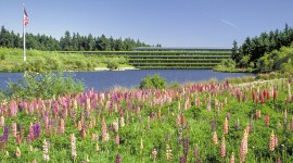 Weyerhaeuser International Headquarters, Federal Way, WA
