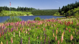 Weyerhaeuser International Headquarters, Federal Way, WA