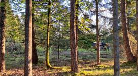 Weyerhaeuser International Headquarters, Federal Way, WA