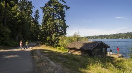 Seward Park, Seattle, WA