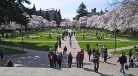 University of Washington, Seattle, WA