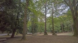 Woodland Park, Seattle, WA