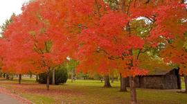 Corbin Park, Spokane, WA