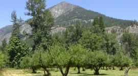 Buckner Homestead Historic District, Stehekin, WA