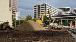 Original grove of trees at the Marcus Center cut down.