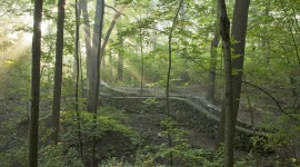 Sanctuary Woods, Wauwatosa, WI