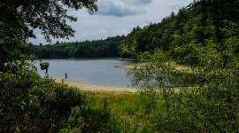 Walden Pond, Concord, MA