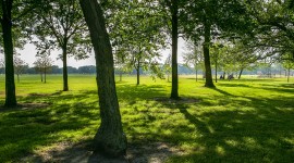 Washington Park, Chicago, IL