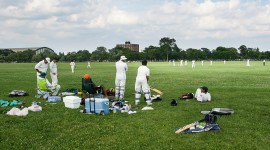 Washington Park, Chicago, IL