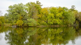 Washington Park, Chicago, IL