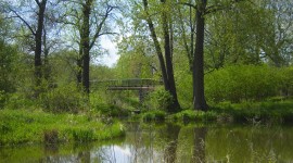 Washington Park, Chicago