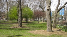 Washington Square Park - IL, Chicago, IL