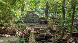 Dumbarton Oaks Park, Washington, D.C.