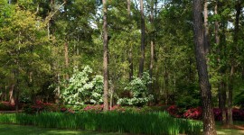 A: The Weber Estate::Asakura Robinson