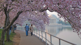 West Potomac Park, Washington, DC