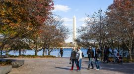 Tidal Basin, West Potomac Park, Washington, D.C.