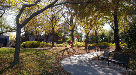 West Potomac Park, Washington, DC