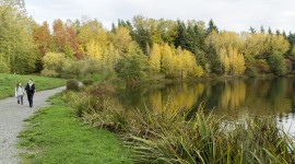 Weyerhaeuser International Headquarters, Federal Way, WA