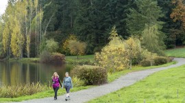 Weyerhaeuser International Headquarters, Federal Way, WA