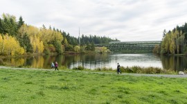 Weyerhaeuser International Headquarters, Federal Way, WA