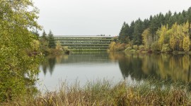 Weyerhaeuser International Headquarters, Federal Way, WA