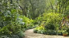 Windrush Gardens, Baton Rouge, LA