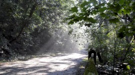 Wissahickon Valley Park Trail, Philadelphia, PA