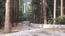 Yosemite Falls, Yosemite National Park, CA