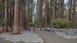 Yosemite Falls Corridor, Yosemite, CA