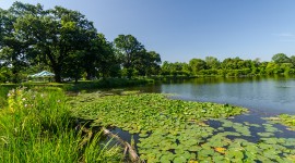 Jackson Park, Chicago, IL