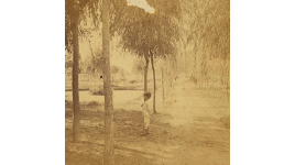 Man standing in San Pedro Springs Park, San Antonio, TX
