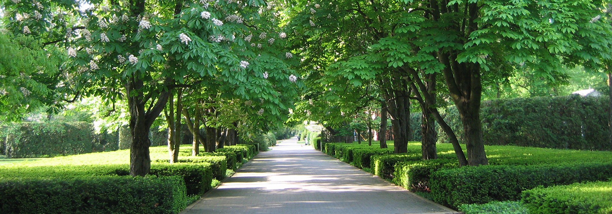希少】The Miller Garden: Icon of Modernism Marvels of Modernism